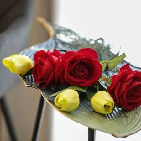 Plaza Elegant Center Vólosz