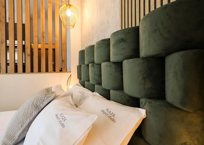 Plaza Elegant Center 公寓 *