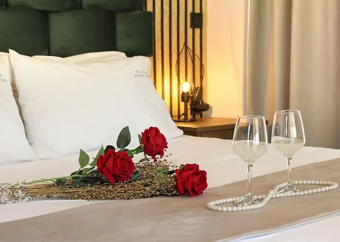 Plaza Elegant Center 公寓