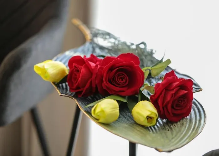 Plaza Elegant Center 沃洛斯